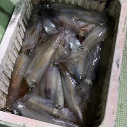 海龍丸（石川） 釣果