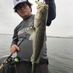 アマテラス 釣果