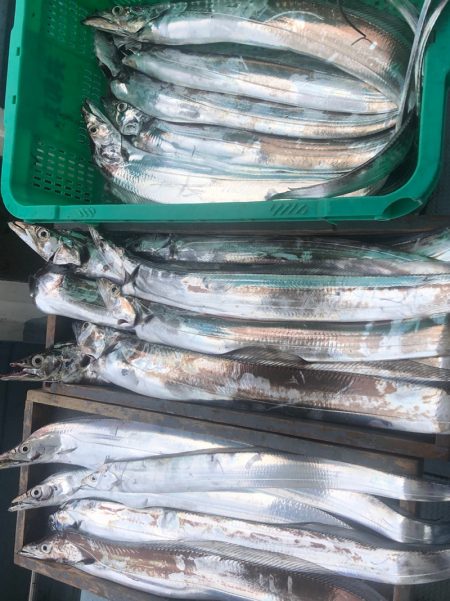 岡田釣船 八英丸 釣果