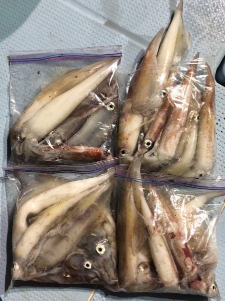 第二八坂丸 釣果