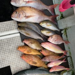 さくら丸 釣果
