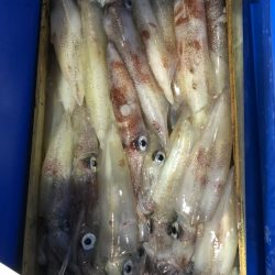 海龍丸（石川） 釣果