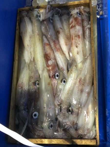 海龍丸（石川） 釣果