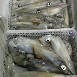 海龍丸（石川） 釣果