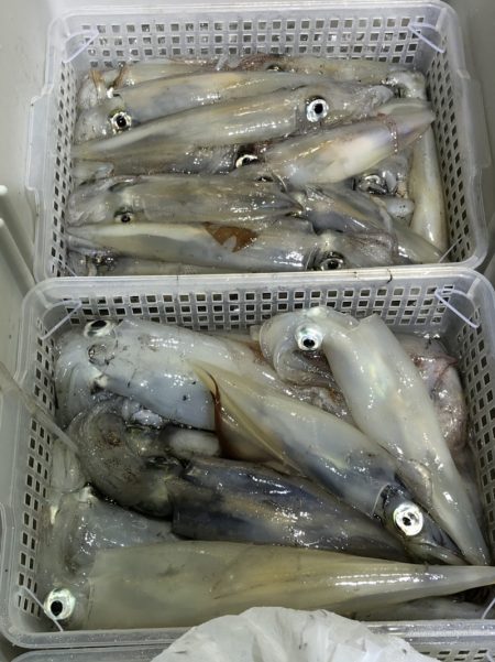 海龍丸（石川） 釣果