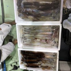 海龍丸（石川） 釣果