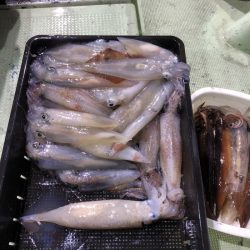 海龍丸（石川） 釣果