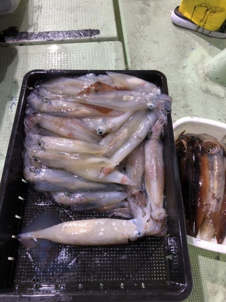 海龍丸（石川） 釣果