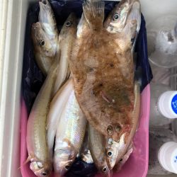 フィッシング キッタカ 釣果