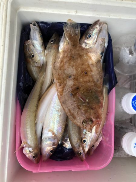 フィッシング キッタカ 釣果