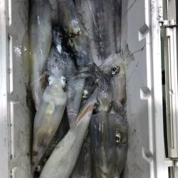 海龍丸（石川） 釣果