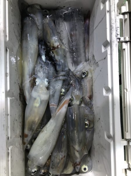 海龍丸（石川） 釣果