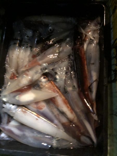 海龍丸（石川） 釣果