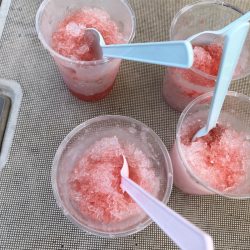 末広丸(熊本) 釣果