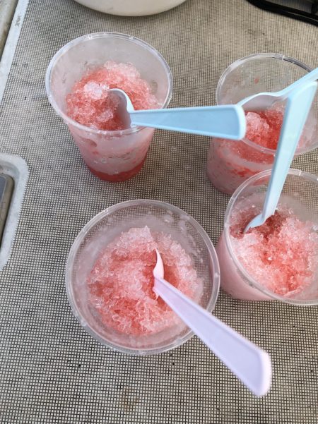 末広丸(熊本) 釣果