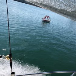 末広丸(熊本) 釣果