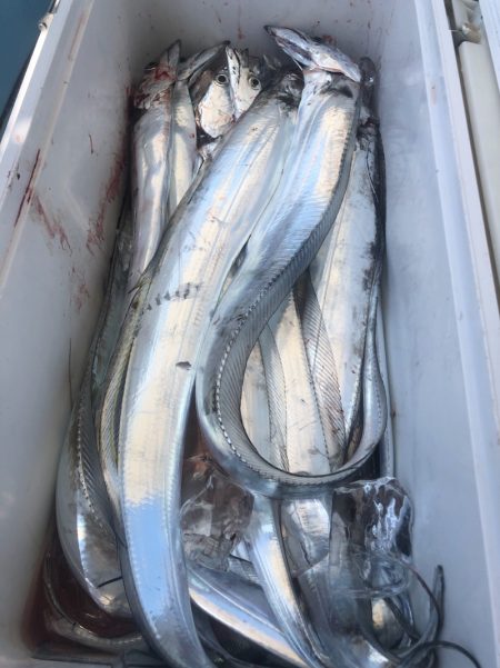 岡田釣船　八英丸 釣果