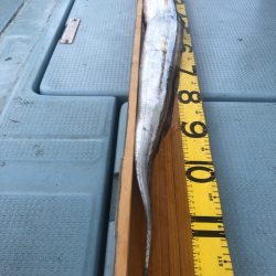 岡田釣船　八英丸 釣果