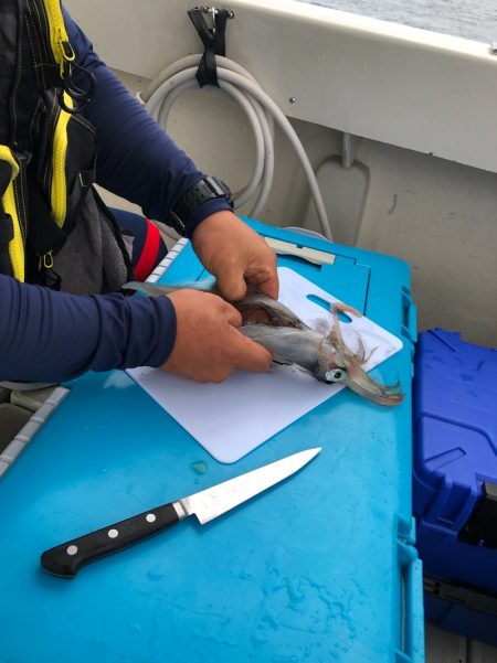 末広丸(熊本) 釣果