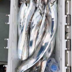 フィッシング キッタカ 釣果