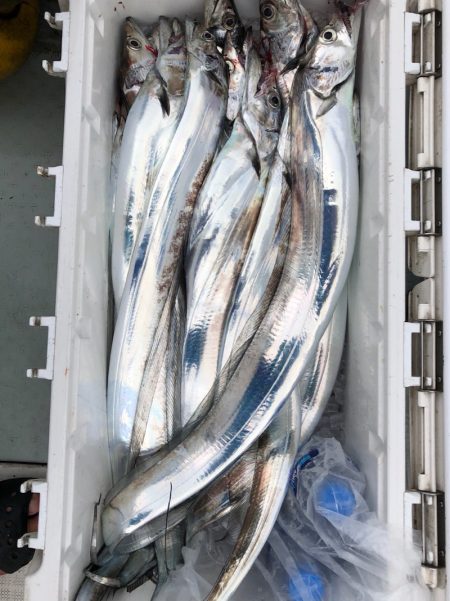 フィッシング キッタカ 釣果