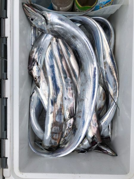 フィッシング キッタカ 釣果