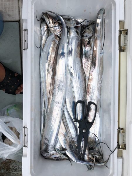 フィッシング キッタカ 釣果