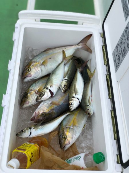 丸万釣船 釣果