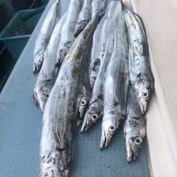 岡田釣船　八英丸 釣果