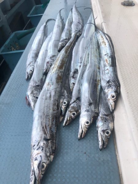 岡田釣船　八英丸 釣果