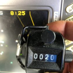 フィッシング キッタカ 釣果