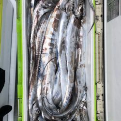 フィッシング キッタカ 釣果