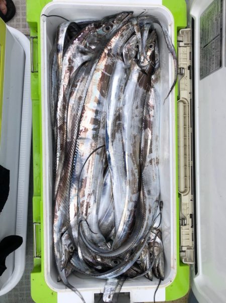 フィッシング キッタカ 釣果