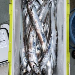 フィッシング キッタカ 釣果