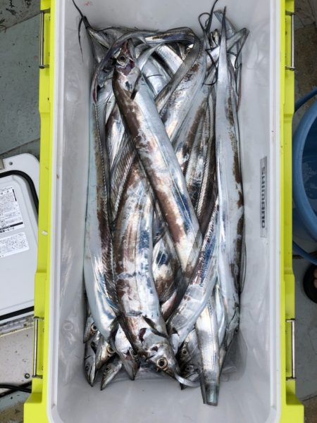 フィッシング キッタカ 釣果