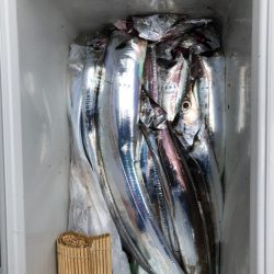 フィッシング キッタカ 釣果