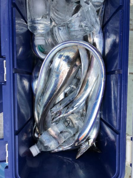 フィッシング キッタカ 釣果