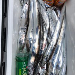 フィッシング キッタカ 釣果