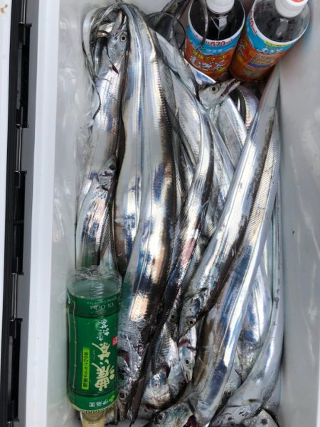 フィッシング キッタカ 釣果