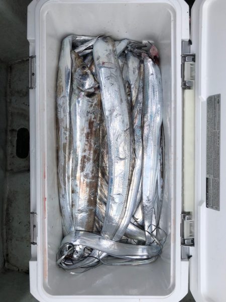 フィッシング キッタカ 釣果