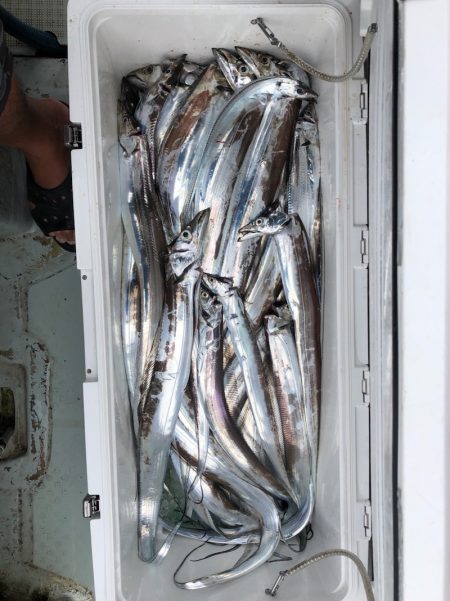 フィッシング キッタカ 釣果