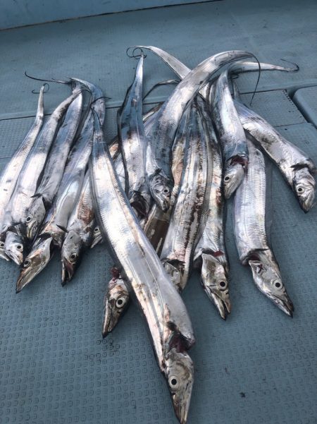 岡田釣船　八英丸 釣果