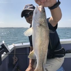 新幸丸 釣果
