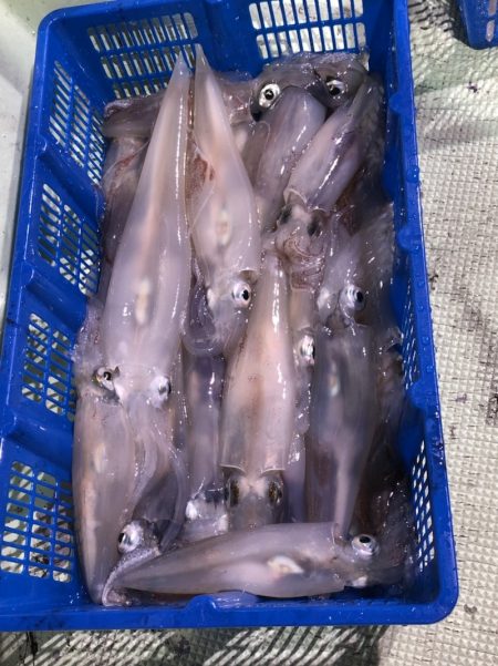 海龍丸（石川） 釣果