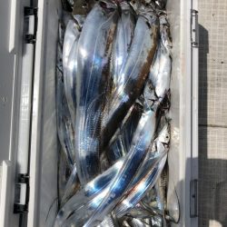 フィッシング　キッタカ 釣果