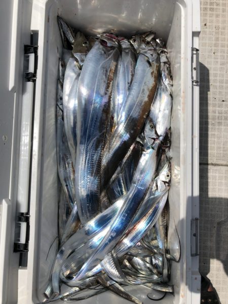 フィッシング　キッタカ 釣果