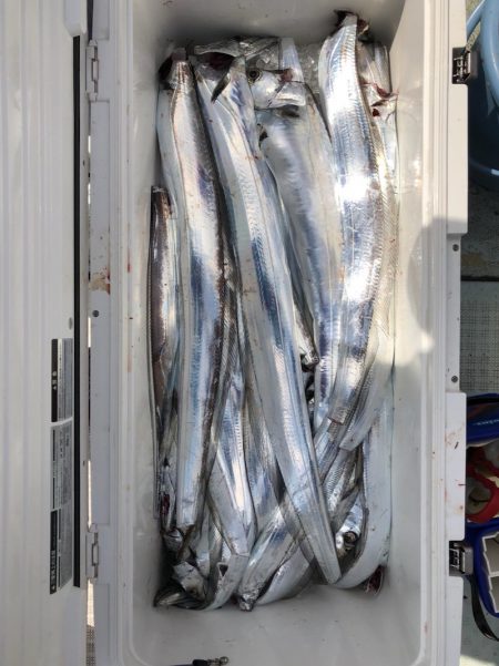 フィッシング　キッタカ 釣果