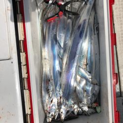 フィッシング　キッタカ 釣果