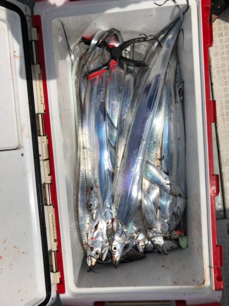 フィッシング　キッタカ 釣果