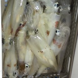 海龍丸（石川） 釣果